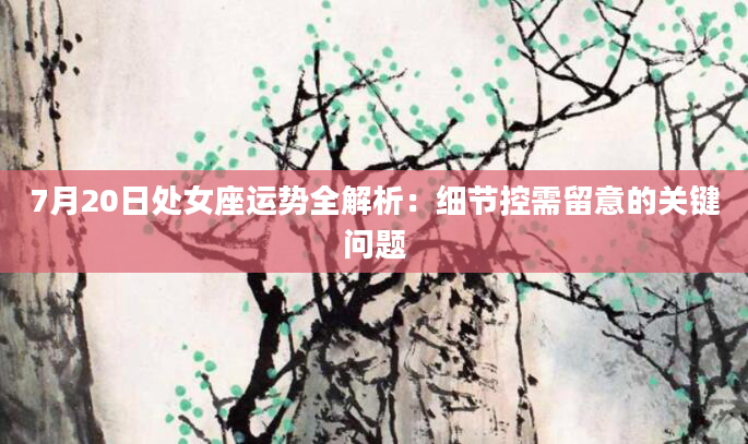 7月20日处女座运势全解析:细节控需留意的关键问题