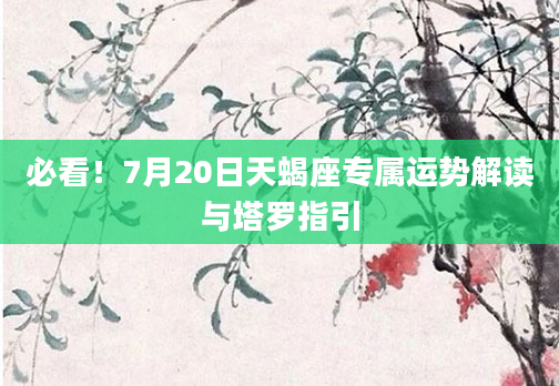 必看!7月20日天蝎座专属运势解读与塔罗指引