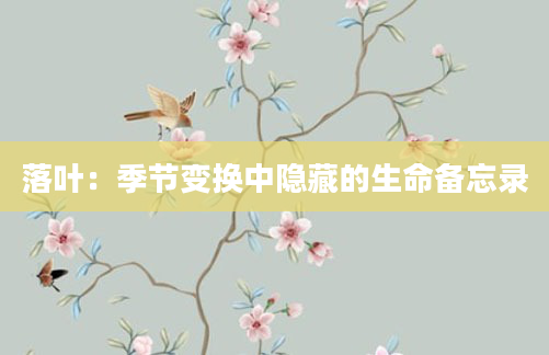 落叶:季节变换中隐藏的生命备忘录