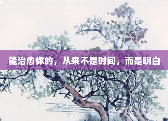 能治愈你的,从来不是时间,而是明白