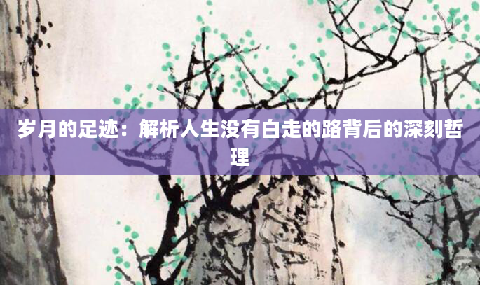 岁月的足迹:解析人生没有白走的路背后的深刻哲理